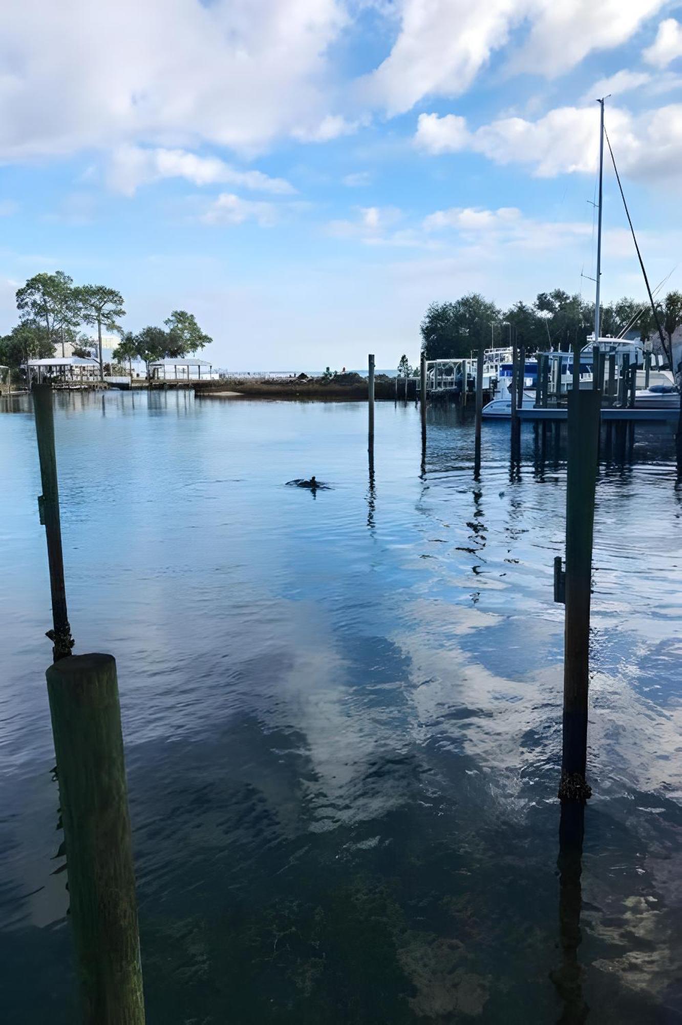 Bay Shore Panama City Beach Dış mekan fotoğraf